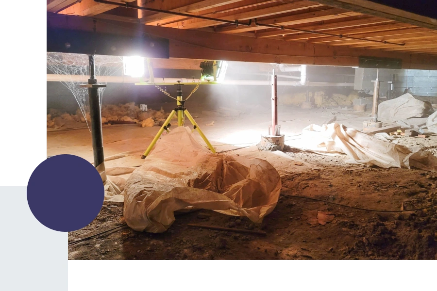 crawlspace with mold