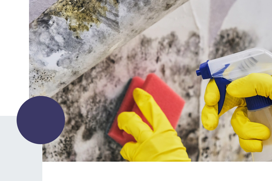 gloved hand removing mold