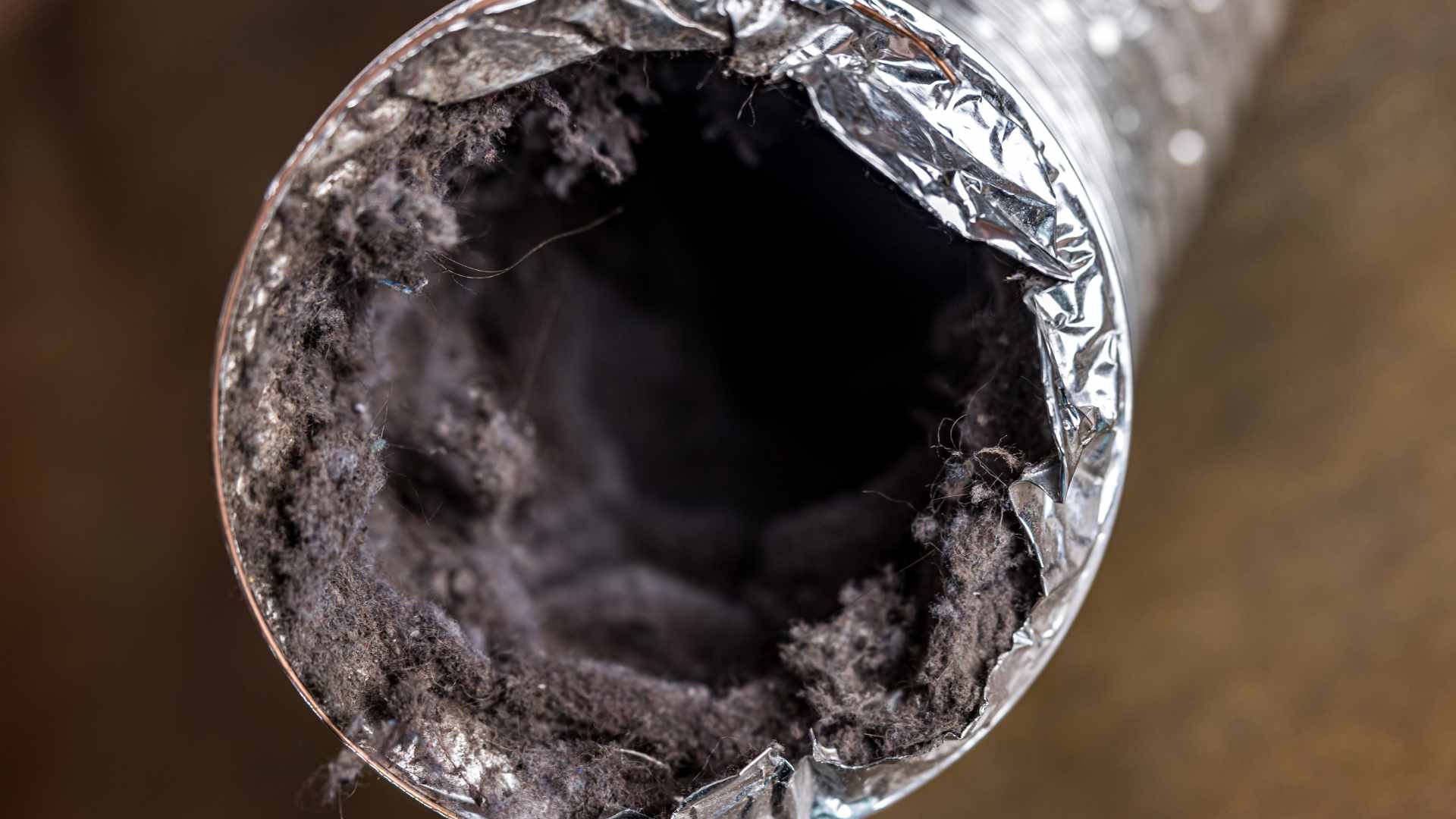 HVAC and Air Duct Mold Cleaning 1
